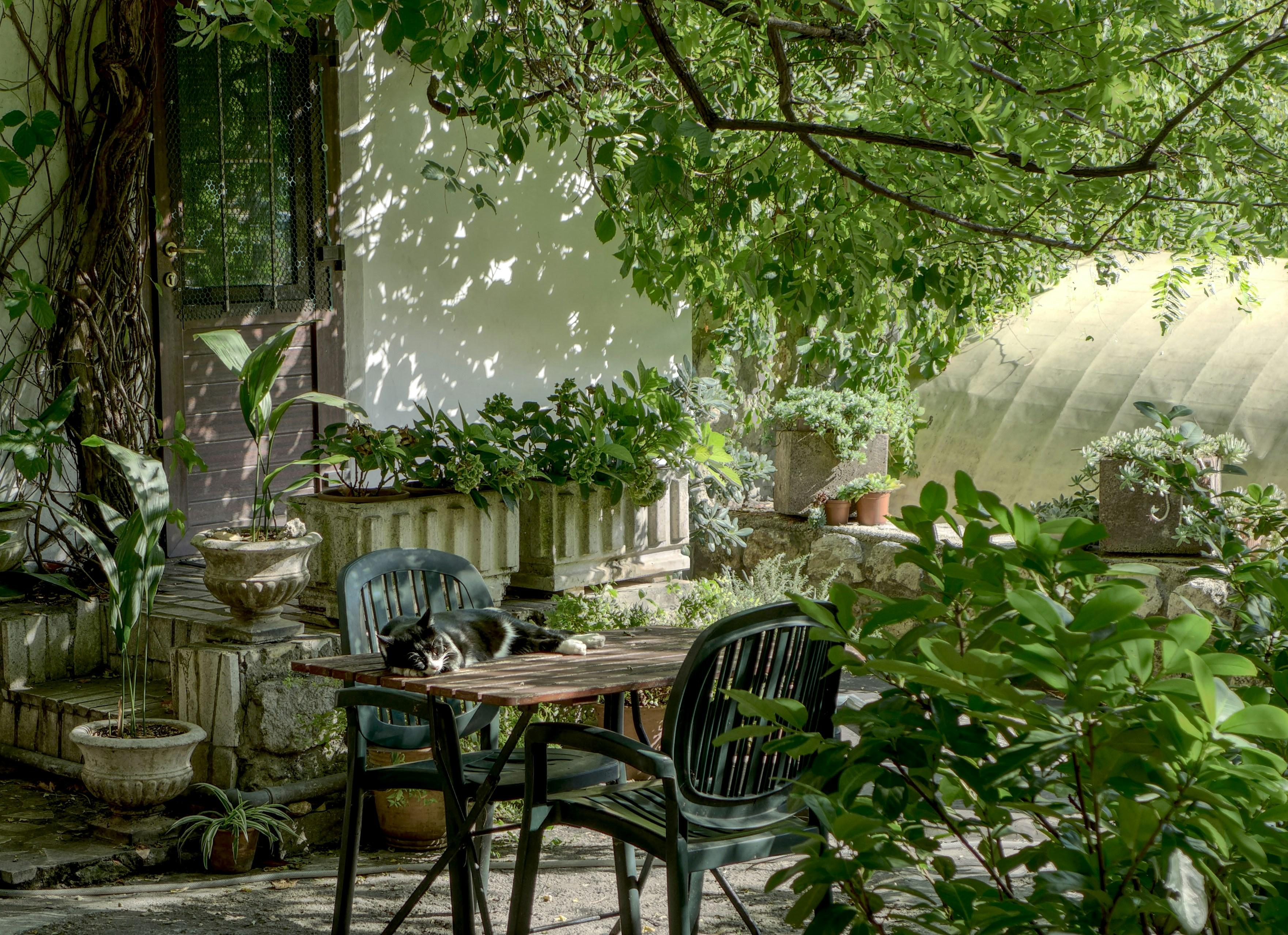 Garden Step
